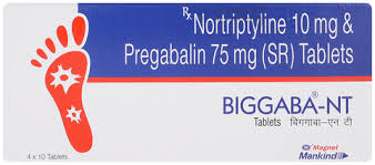 Biggaba Nt Tab