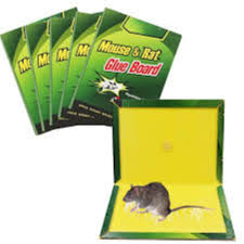 RAT GUM PAD MEDIUM GREEN PLUS