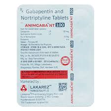 Animgaba Nt 200 Tablets