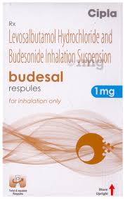 Budesal 1mg Resp
