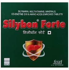 Silybon Forte Tab