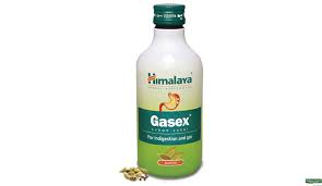Gasex Syp Ginger