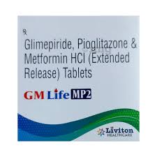 Gm Life Mp2 Tab