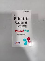 Palnat 125 Tab