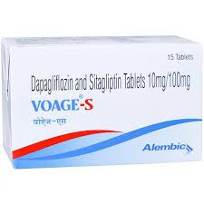 Voage S 10/100 Tab